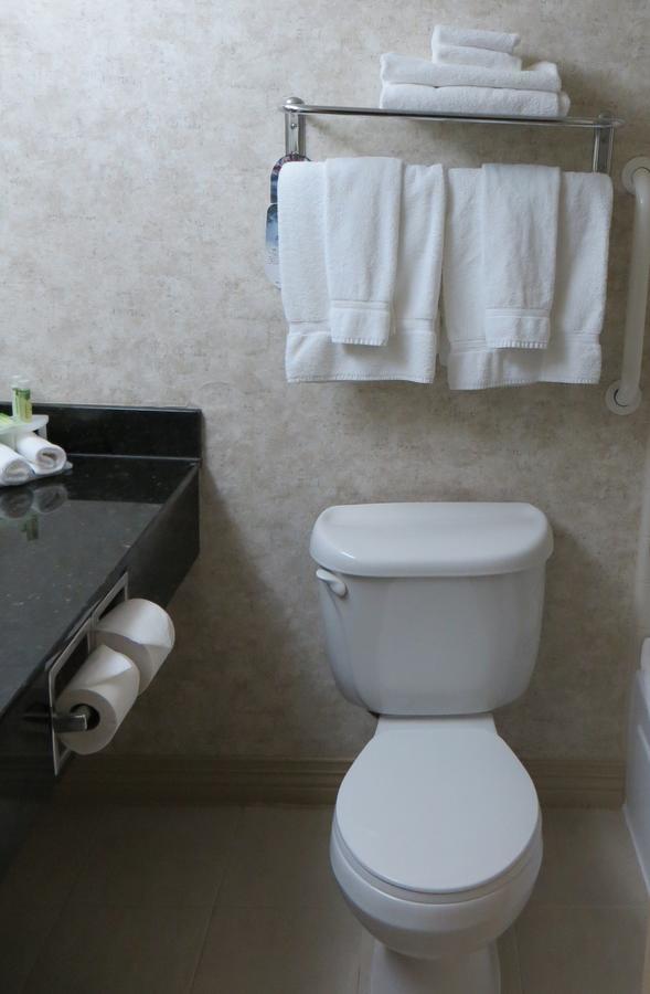 Holiday Inn Kansas City Downtown Aladdin Екстер'єр фото